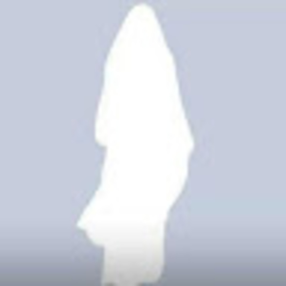 Meet your Posher, Maryam bint james